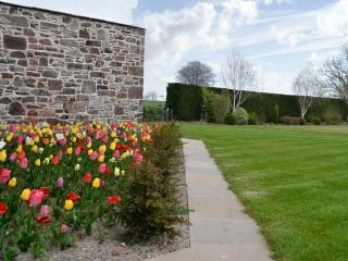 Grieve's Cottage - Uk11107 - 7