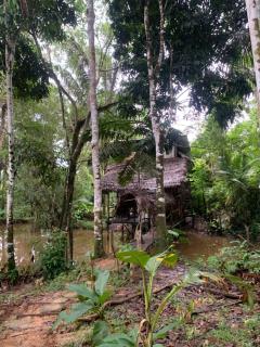 Jungle Cabin - Satori Natural - 8