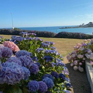 BELLE VUE MER STUDIO PISCINE - 1
