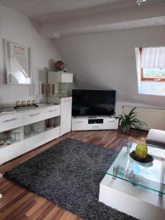 Ferienwohnung mit Elbwiesenblick - 6