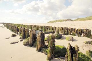 Strand-Lug Wenningstedt - 8