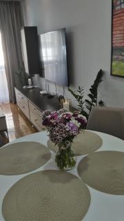 Su Inn apartman - Center with FREE private garage - 8
