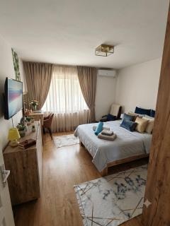 Teslić Apartman NiA - 4