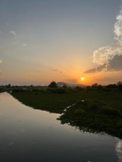 Green view group of houseboats - Srinagar - 2