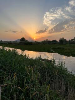Green view group of houseboats - Srinagar - 3