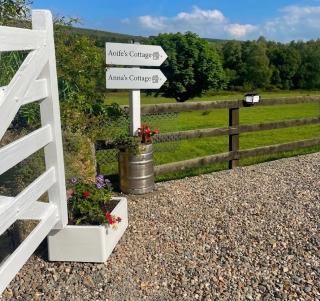 Birch Valley Accommodation Tinahely Wicklow - 4