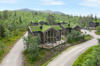 Ski-in/Ski-out | Wi-Fi | Sauna | Wood Stove - 5