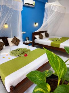 Sigiri Lion Lodge - 0