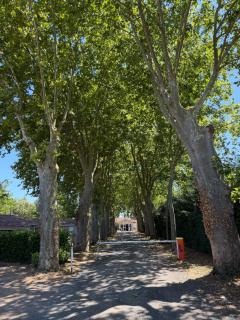 28 m2 Chalet - 7