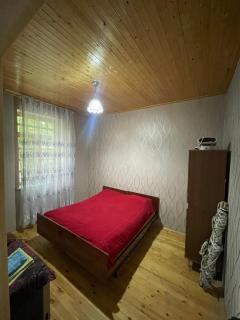 Dağ evi Göygöl - 2