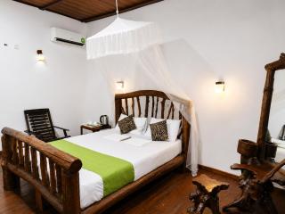 Sigiri Lion Lodge - 1