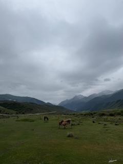 Yurt On The Mountain -With us you will feel the spirit of nomads - 5