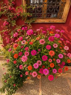 Villa lumina , Marrakech - 1