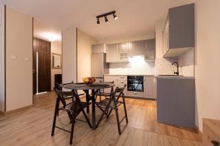 Apartament Henry - Bezpłatny garaż - Dostęp na kod - FV - 0
