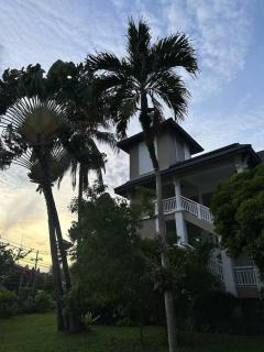 Allamanda Laguna - 2