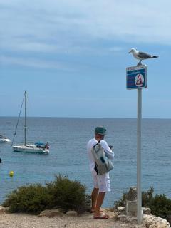 Secret of the Ibiza - 0