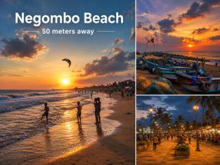Marine Hostel at Negombo Beach - 3