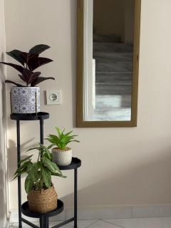 Top house - 3