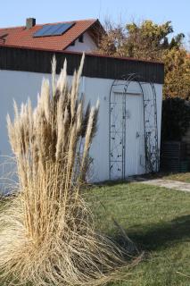 Pension Kirchenwirt - 4