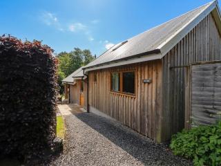Yew Tree - 6