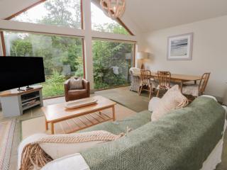 Yew Tree - 3