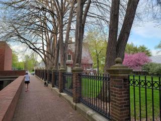 Walk/ Bike everywhere from this Historic Chic Studio - 0