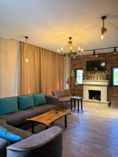 7 Cottage in Bakuriani - 8
