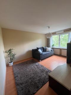 Cozy Apartment by Botanicalal Garden & RSU - 6