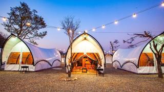 Gapyeong The Camp Caravan Glamping - 6