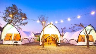 Gapyeong The Camp Caravan Glamping - 1