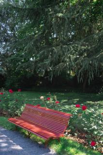 Le Jardin des Roses - 6