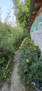 Aral Guest House - 8