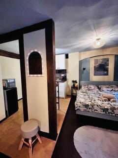 Forest Loft Studio - apartament nr 6 - 3