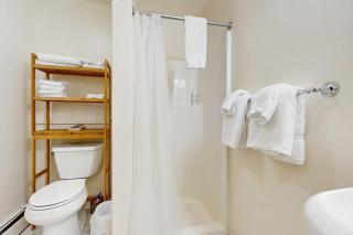 Sunlit cottage next to Acadia - sparkling full kitchen - 1 mile to downtown - 9