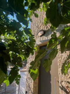 Bella Villa - 1