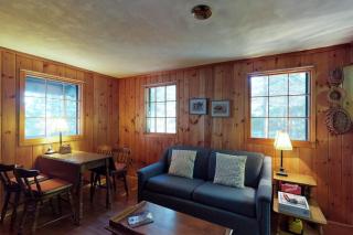 Lakefront cabin with private dock & beach access - 5