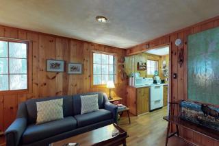 Lakefront cabin with private dock & beach access - 2