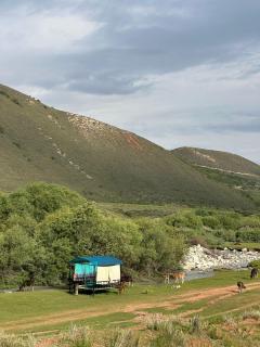 Yurt On The Mountain -With us you will feel the spirit of nomads - 8
