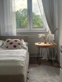 Apartament Góraleczka Centrum Zakopane - 5