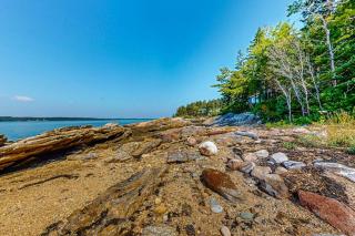 Beachfront Delight with detached guesthouse, private beach access, Dog-friendly - 3