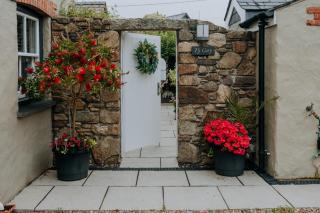 TyCosy - StDavids - 2