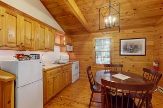 Escape to a dog-friendly cabin w/streaming, kitchen, fireplace & nature nearby - 3