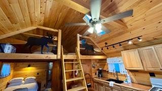Royal Coachman | Cozy Moose River Cabin Near Moose - 6