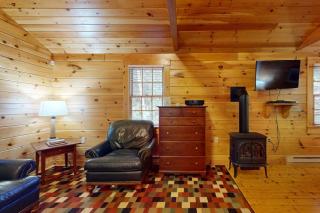 Idyllic dog-friendly studio cabin with AC, fireplace & WiFi - 3