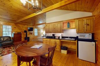 Idyllic dog-friendly studio cabin with AC, fireplace & WiFi - 1