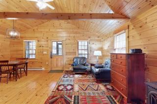 Quaint studio cabin near hiking trails with gym & pool table - dog-friendly - 5