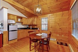 Quaint studio cabin near hiking trails with gym & pool table - dog-friendly - 2