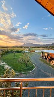 Tringa Guesthouse - Mrizi i Zanave - 6