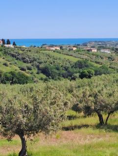 Tra Mare E Monti - 7