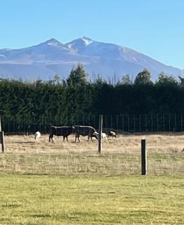 Whakatā - 3